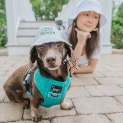 Dog Bucket Hat - Little Thing