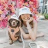 Bucket Hat Bundle - Here For The Treats -Furfinity Cheap Shop bucket hat lifestyle feed photos 27 a89e2a5f 7947 4d7d 9255 6198536ca29d