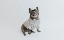 Dog Cable Knit Sweater - Gray -Furfinity Cheap Shop cable knit sweater dog fall 5