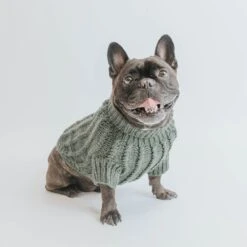 Dog Cable Knit Sweater - Dark Green -Furfinity Cheap Shop cable knit sweater dog fall 7