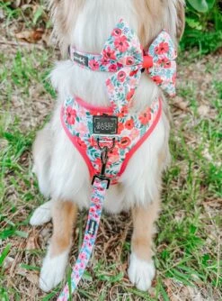 Dog Sailor Bow - Floral Frenzy -Furfinity Cheap Shop cavakisses 2