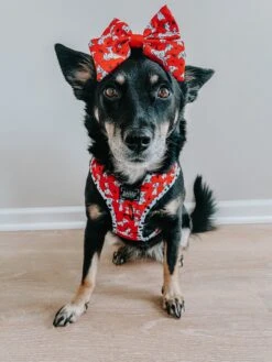 Dog Sailor Bow - Disney's 101 Dalmatians -Furfinity Cheap Shop chaitotherescue 1 f2e3465b ec21 4b8e 94b6 a0a8c4b42c2b