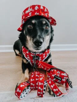 Dog Bucket Hat - Disney's 101 Dalmatians -Furfinity Cheap Shop chaitotherescue 3 36824c87 ac8a 4150 94fe a51b161fbf6e