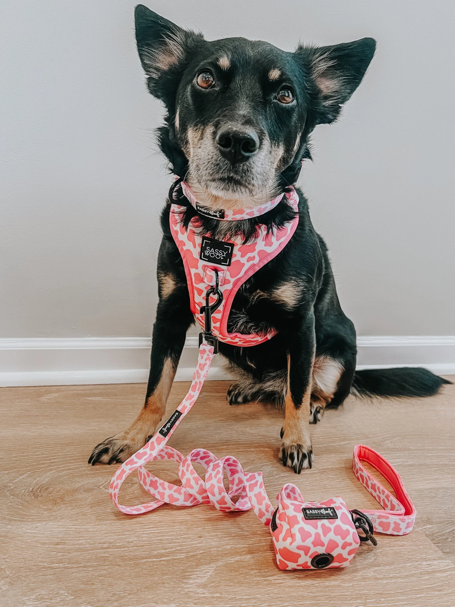 Dog Adjustable Harness - Strawberry Milk 16 Dog Adjustable Harness - Strawberry Milk - Image 14