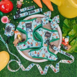 Dog Four Piece Bundle - Chillin With My Gnomies -Furfinity Cheap Shop chillen with my gnmoies product photos 2