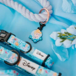 Dog Rope Leash - Disney's Cinderella -Furfinity Cheap Shop cinderella productphotos 5
