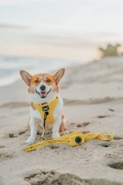 Dog Adjustable Harness - Neon Yellow -Furfinity Cheap Shop custom resized 866fd303 a9f0 44cf b9f3 fe888849c931