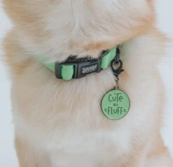 Dog Collar - Neon Green 21 Dog Collar - Neon Green -Furfinity Cheap Shop cute as fluff dog photo 2 1