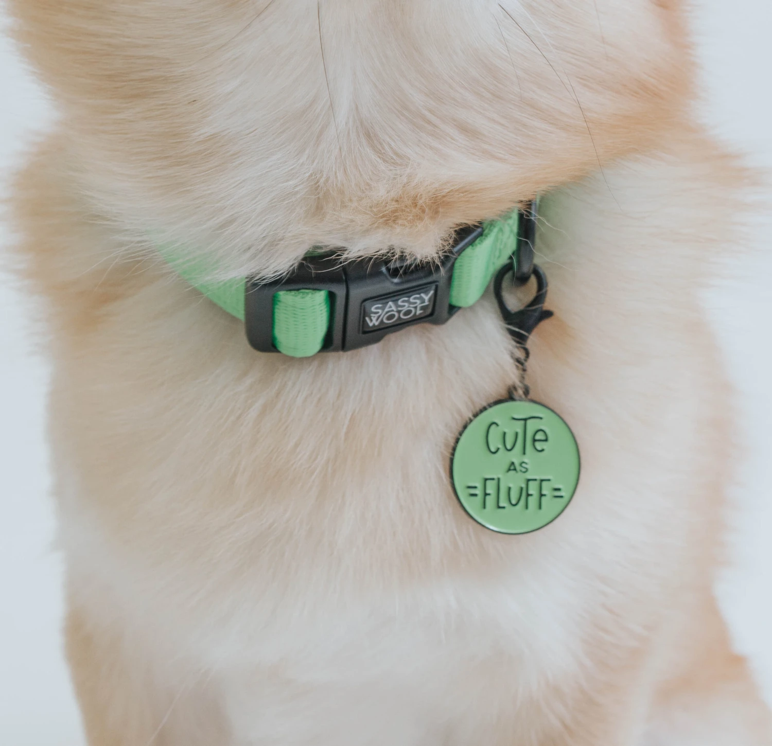 Dog Collar - Neon Green 11 Dog Collar - Neon Green - Image 9