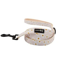 Dog Two Piece Bundle - Dainty Daisy -Furfinity Cheap Shop dainty daisy dog leash 2 b7f259a5 f86e 471f ae88 42af3e870c71