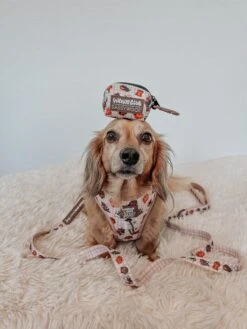 Dog Waste Bag Holder - Weens Club -Furfinity Cheap Shop dash thedoxie 1