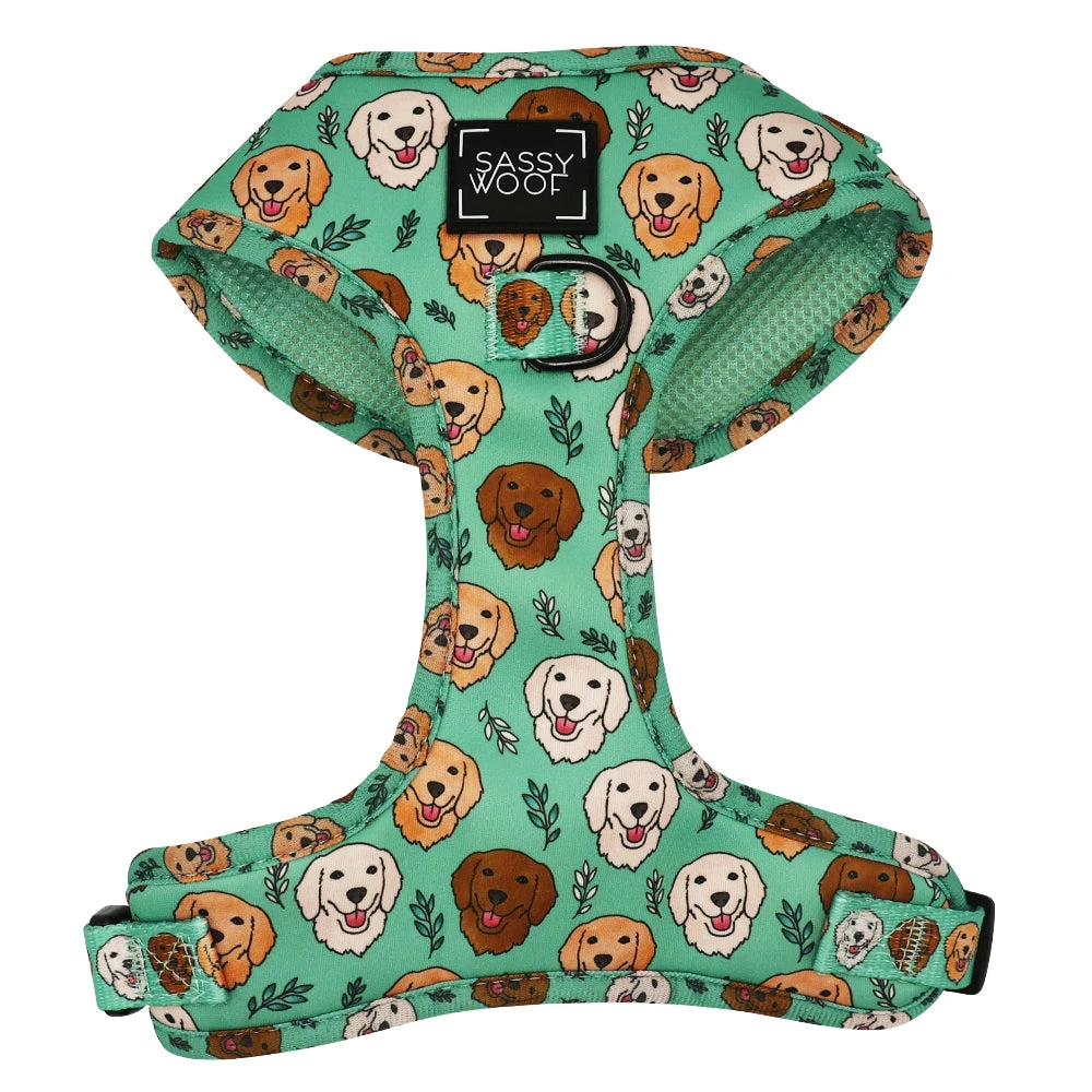 Dog Two Piece Bundle - Glam Goldens 4 Dog Two Piece Bundle - Glam Goldens - Image 2