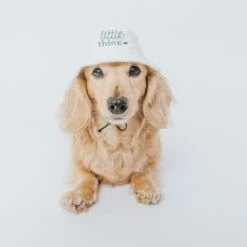 Bucket Hat Bundle - Little Thing -Furfinity Cheap Shop dog bucket hat 2