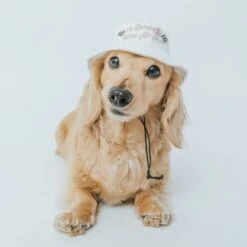 Bucket Hat Bundle - I'd Rather Be 14 Bucket Hat Bundle - I'd Rather Be -Furfinity Cheap Shop dog bucket hat 4 82746c8a b934 42ed abc3 8190c0be50ad