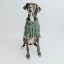Dog Cable Knit Sweater - Dark Green -Furfinity Cheap Shop dog photos 9 2