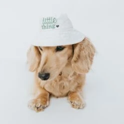 Bucket Hat Bundle - Little Thing -Furfinity Cheap Shop dogbucjkethat 2 7832ccb2 312a 4efe 8083 0b697b230d8c