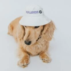 Bucket Hat Bundle - Momager + Pupfluencer 14 Bucket Hat Bundle - Momager + Pupfluencer -Furfinity Cheap Shop dogbucjkethat 3 c2330e96 59c4 414e afab 51f40aca9f62