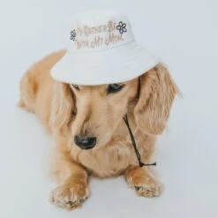 Bucket Hat Bundle - I'd Rather Be 13 Bucket Hat Bundle - I'd Rather Be -Furfinity Cheap Shop dogbucjkethat 4 f57d66fa e740 4991 bb0e 9646195011e8