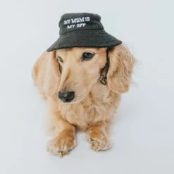 Bucket Hat Bundle - BFF 13 Bucket Hat Bundle - BFF -Furfinity Cheap Shop dogbucjkethat 39c3ebf7 9321 40cf 8ce2 c1dec3985343