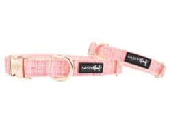 Dog Four Piece Bundle - Dolce Rose -Furfinity Cheap Shop dolce rose dog collar 2