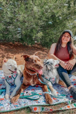 Dog Picnic Blanket - Peanuts™ Beagle Scouts -Furfinity Cheap Shop eurekapaws 3 a53f0273 05c8 4043 acaf faa30fdec7fc