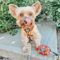 Dog Waste Bag Holder - Wonder Woman™ -Furfinity Cheap Shop evee.the .yorkie1 8510b437 12aa 4d47 b20d 99b4a2bb3b9c