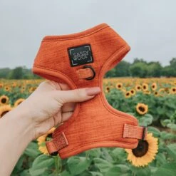 Dog Adjustable Harness - Foxy -Furfinity Cheap Shop fall collection harness 2