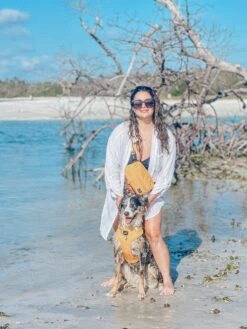 Sunflower Fields Woof Pack (Bag Only) -Furfinity Cheap Shop fluff lifexx 2