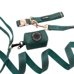 Collar Three Piece Bundle - Forest -Furfinity Cheap Shop forest dog 3piece bundle 2