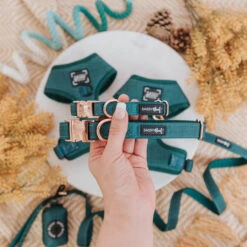 Dog Collar - Forest -Furfinity Cheap Shop forest dog collection c06bfd1c c2a0 4a2f 8d35 a27ea145fc38