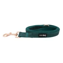 Collar Three Piece Bundle - Forest -Furfinity Cheap Shop forest dog leash