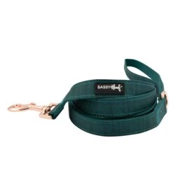 Dog Two Piece Bundle - Forest -Furfinity Cheap Shop forest dog leash 2 1