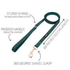 Collar Three Piece Bundle - Forest -Furfinity Cheap Shop forest dog leash 4 5cb7bd44 c7c0 45e8 ab10 2383cbe60a98