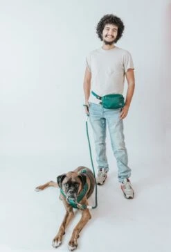 Forest Woof Pack (Bag Only) -Furfinity Cheap Shop forest woof pack dog model