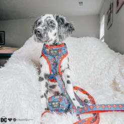 Dog Waste Bag Holder - Superman™ -Furfinity Cheap Shop fourminiweenies ab50e6b0 8b84 45f5 a978 7fcf779973fa