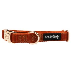 Dog Collar - Foxy 15 Dog Collar - Foxy -Furfinity Cheap Shop foxy collar collar 85556f1b bd69 47c8 928e c23ee78b2242