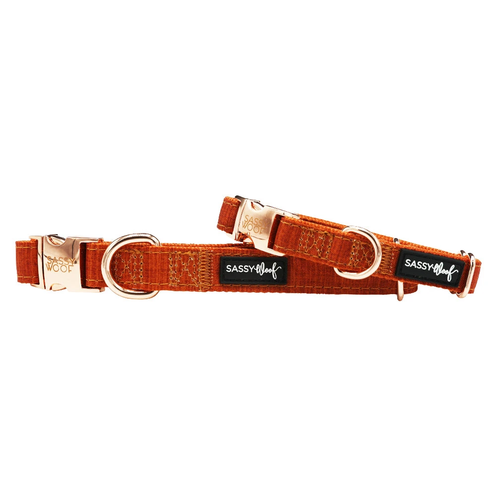 Dog Collar - Foxy 3 Dog Collar - Foxy