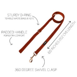 Dog Four Piece Bundle - Foxy -Furfinity Cheap Shop foxy leash guide