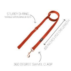 Dog Leash - Foxy -Furfinity Cheap Shop foxy leash guide 49f16a62 3da5 4013 978b e7e36ca14d4b