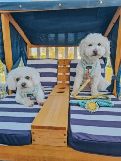 Potty Pal - Sun -Furfinity Cheap Shop frise and fabulous 1