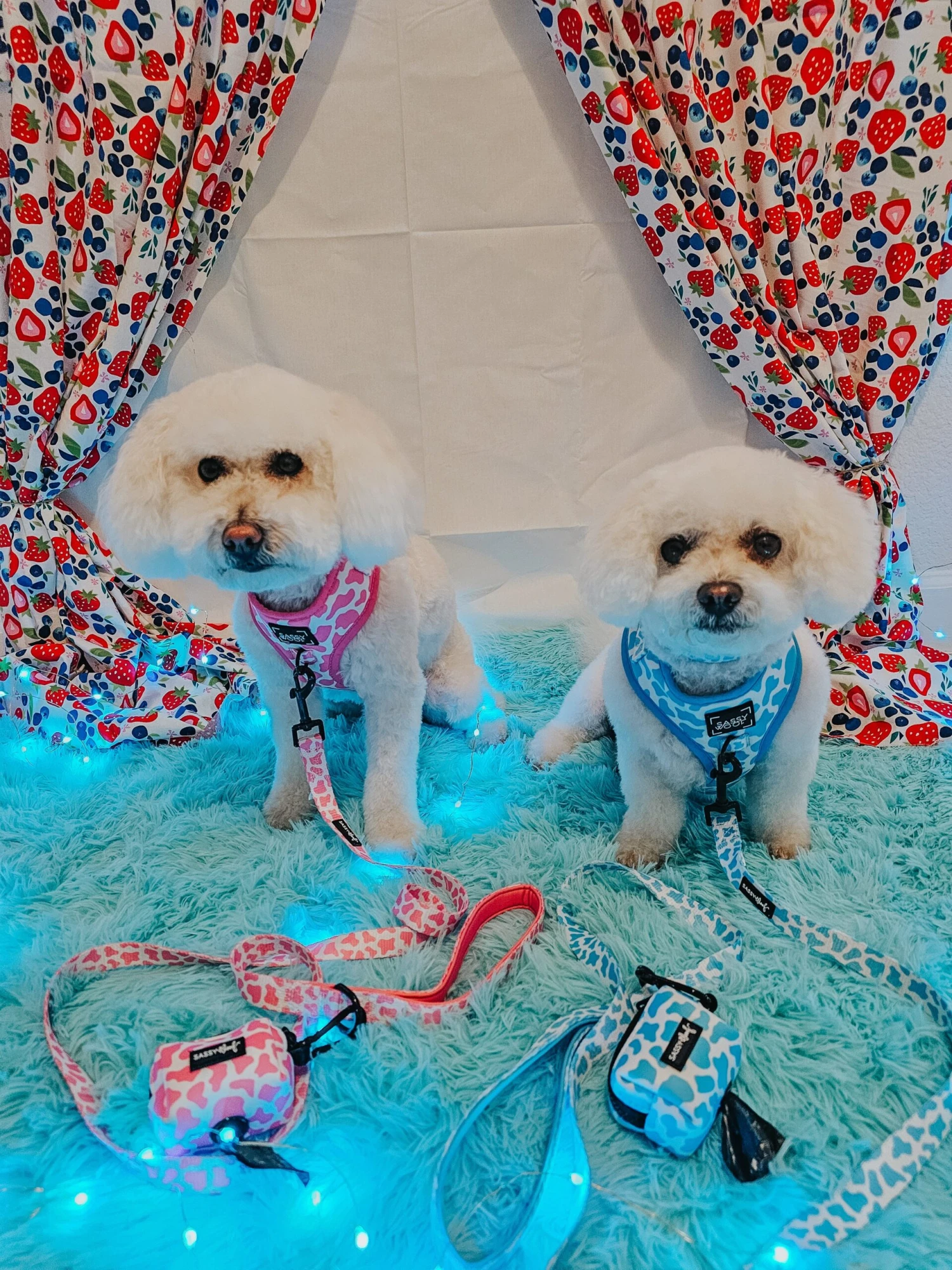 Dog Adjustable Harness - Strawberry Milk 17 Dog Adjustable Harness - Strawberry Milk - Image 15