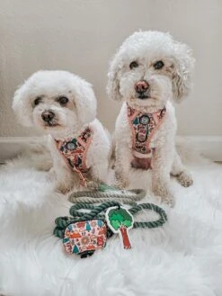 Potty Pal - Tree 16 Potty Pal - Tree -Furfinity Cheap Shop frise and fabulous 3