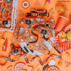 Dog Four Piece Bundle - Garfield™ -Furfinity Cheap Shop garfield DOG product photos LOGO