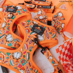 Dog Two Piece Bundle -Garfield™ -Furfinity Cheap Shop garfield DOG product photos LOGO 2 dbf5238c ed1a 4132 b851 3bd817f3f3dc