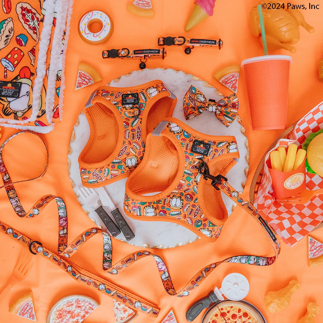 Cat Bundle - Garfield™ 9 Cat Bundle - Garfield™ - Image 7