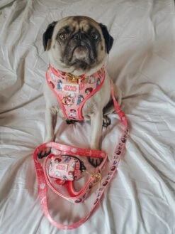 Dog Waste Bag Holder - STAR WARS™ Princess Leia -Furfinity Cheap Shop geminipug 1 c8d0f817 05e8 4759 91e0 4740f3404865