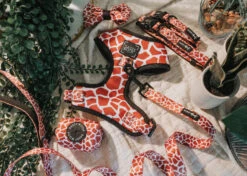 Dog Adjustable Harness - Giraffic Park -Furfinity Cheap Shop giraffic park dog 3