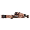 Dog Collar - Giraffic Park 2 Dog Collar - Giraffic Park -Furfinity Cheap Shop giraffic park dog collar
