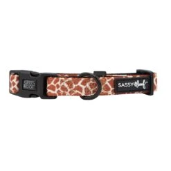 Dog Collar - Giraffic Park -Furfinity Cheap Shop giraffic park dog collar 3