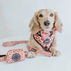 Dog Waste Bag Holder - Giraffic Park -Furfinity Cheap Shop giraffic park dog collection 4 eb4ff6bd 8df3 489f a90c 7967cf5dc5fa